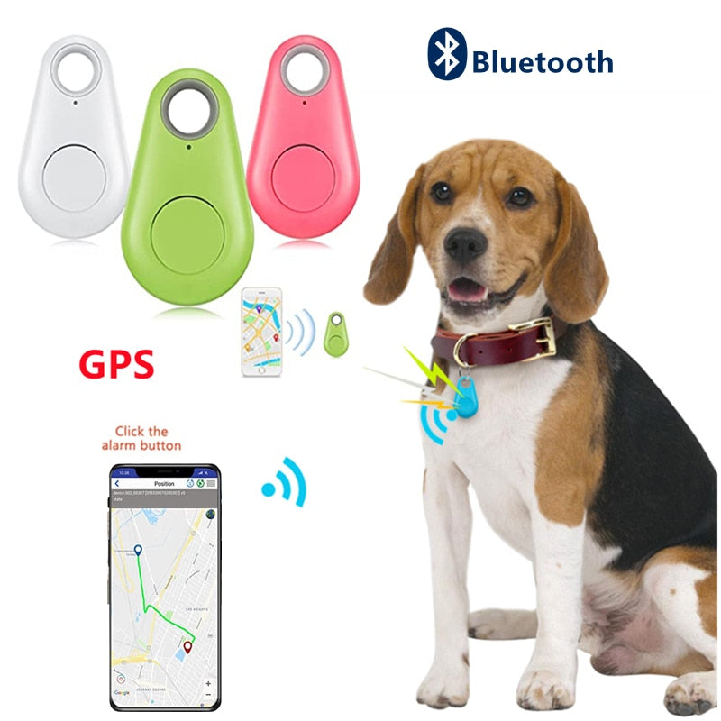 Rastreador GPS inteligente para animais de estimação